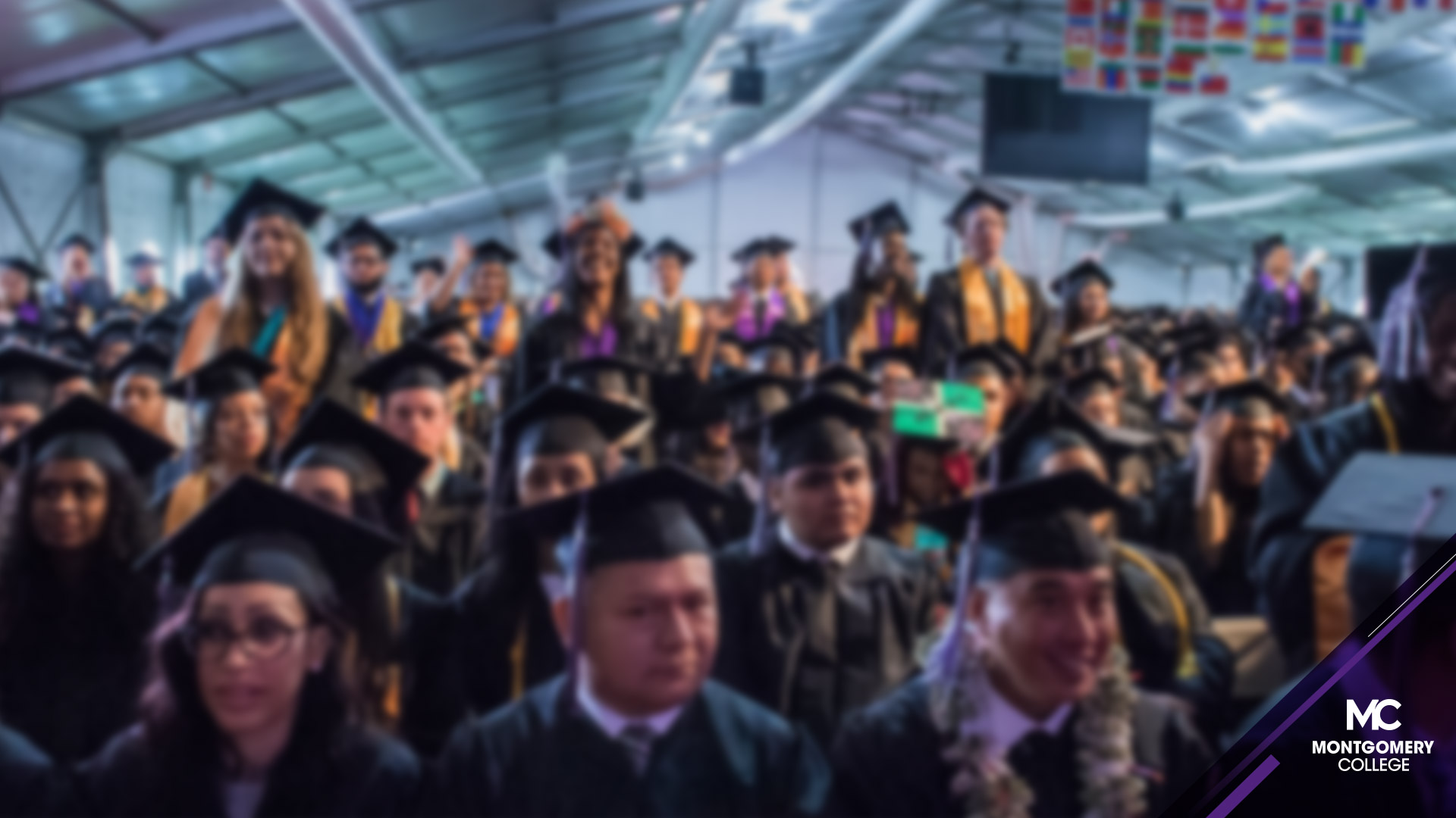 Graduates in a crowd. Image has a soft blur.